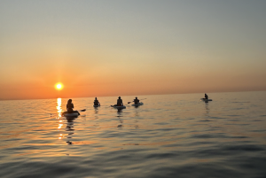 Sunrise paddle board Barcelona